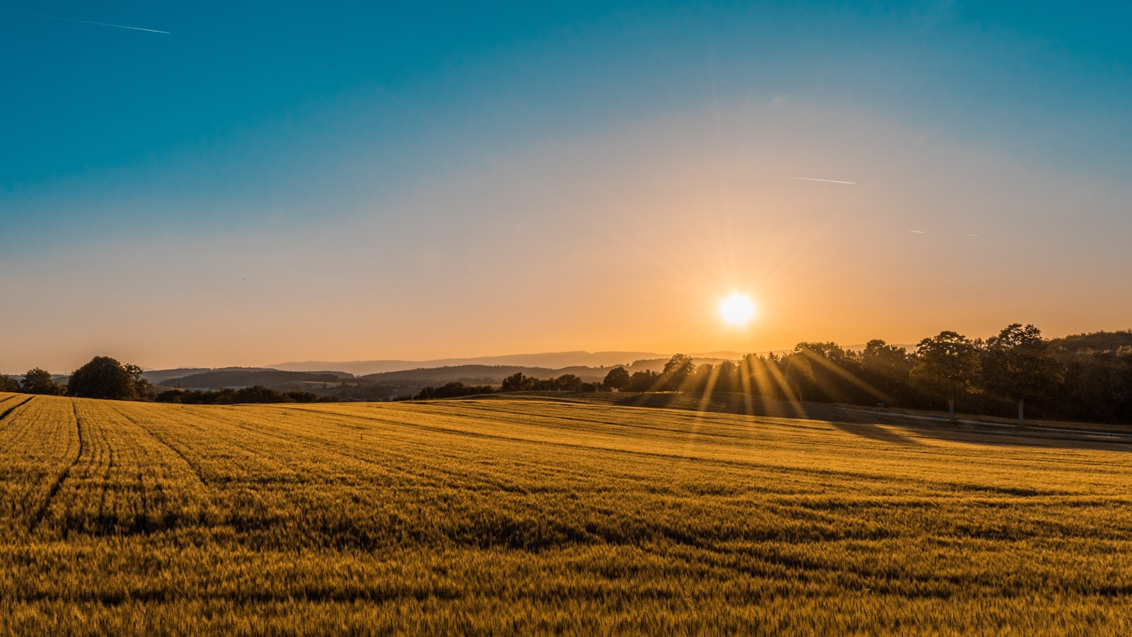 Fertile agricultural land ready for cultivation